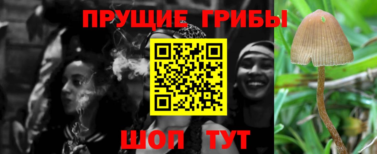 Галлюциногенные грибы прущие грибы Сочи